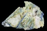 Vibrant Blue Kyanite Crystals In Quartz - Brazil #118868-1
